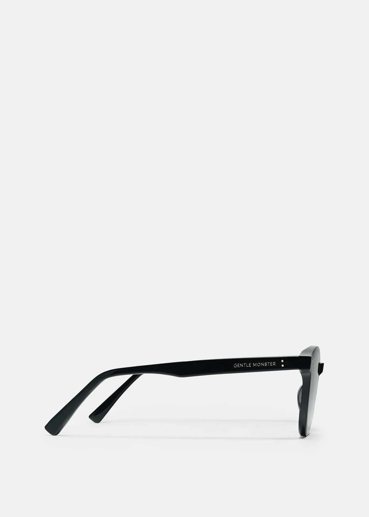 LANG 01 Sunglasses - Black