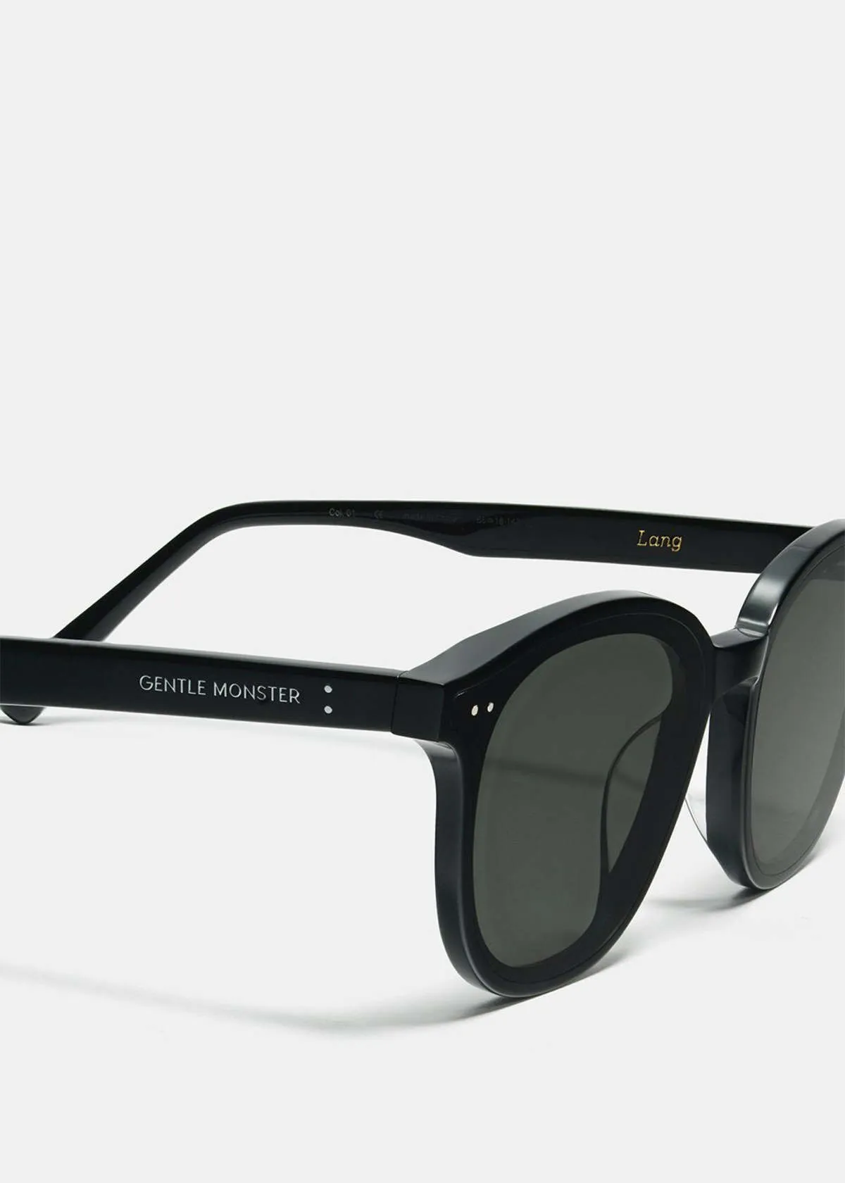 LANG 01 Sunglasses - Black