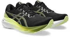 Men's Asics Gel-Kayano 30