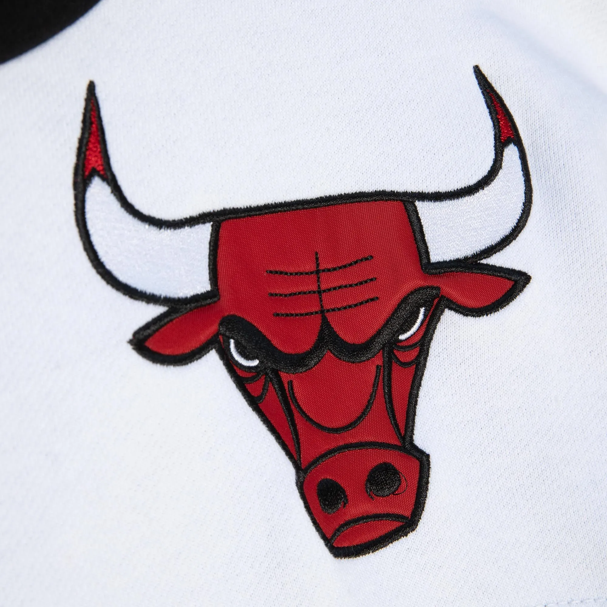 NBA Fusion Fleece 2.0 Chicago Bulls