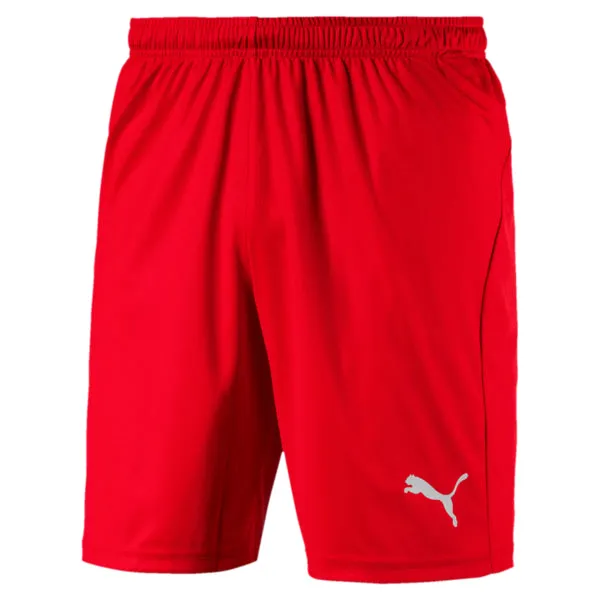 Puma Liga Shorts Core