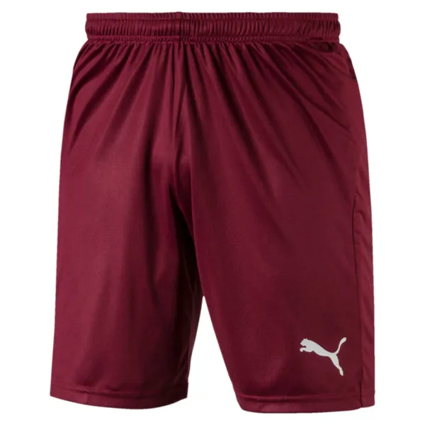 Puma Liga Shorts Core