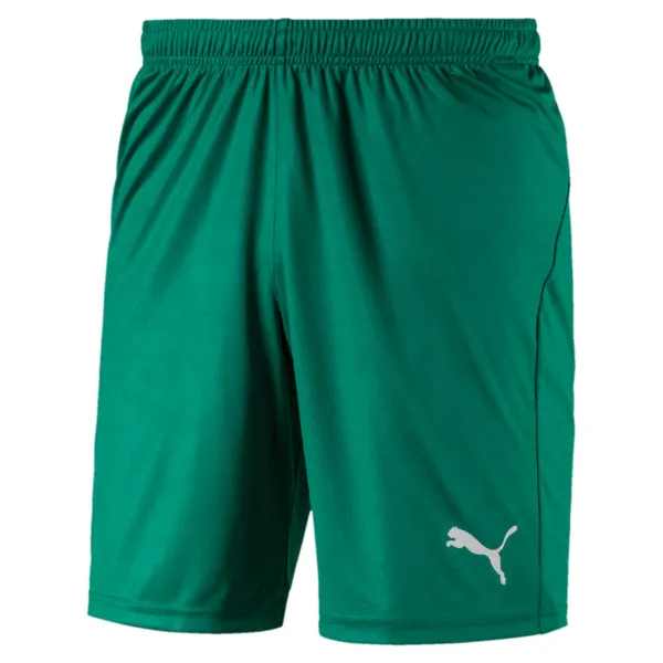 Puma Liga Shorts Core