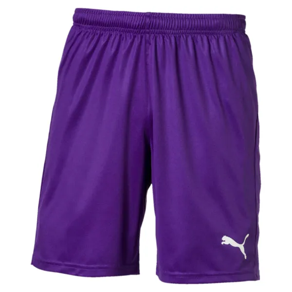 Puma Liga Shorts Core