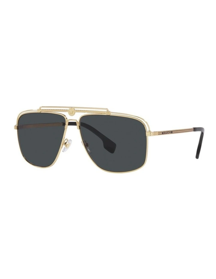 VE2242 Gold Sunglasses